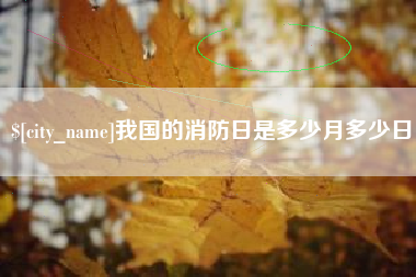 庄河我国的消防日是多少月多少日