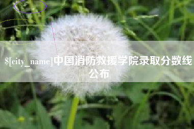 庄河中国消防救援学院录取分数线公布