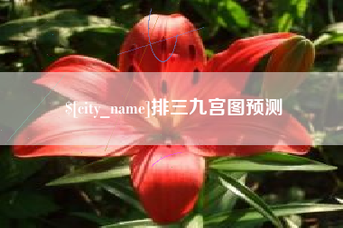 庄河排三九宫图预测