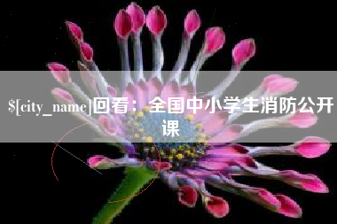 庄河回看：全国中小学生消防公开课