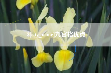庄河九宫格优点