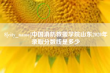庄河中国消防救援学院山东2020年录取分数线是多少