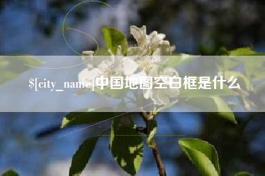庄河中国地图空白框是什么