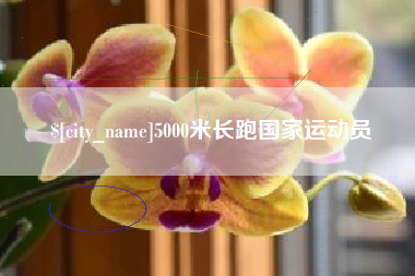 庄河5000米长跑国家运动员
