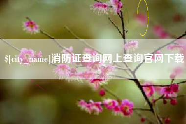 庄河消防证查询网上查询官网下载