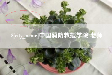 庄河中国消防救援学院 老师
