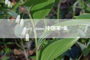 庄河中国第9金