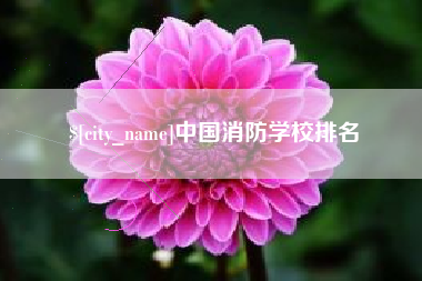 庄河中国消防学校排名