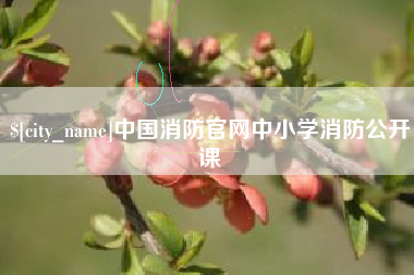 庄河中国消防官网中小学消防公开课
