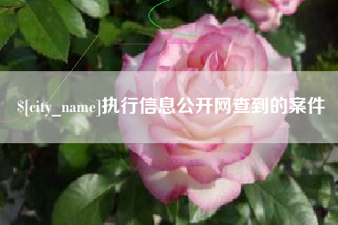 庄河执行信息公开网查到的案件