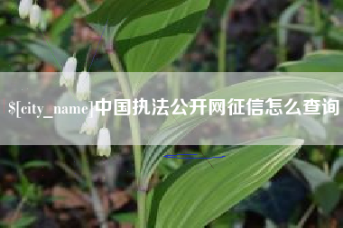 庄河中国执法公开网征信怎么查询