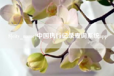 庄河中国执行记录查询系统app