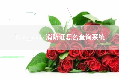 庄河消防证怎么查询系统