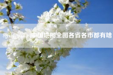 庄河中国地图全图各省各市都有啥