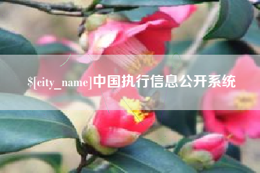 庄河中国执行信息公开系统