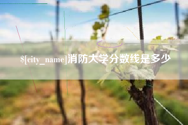 庄河消防大学分数线是多少