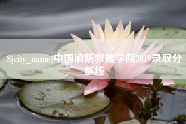 庄河中国消防救援学院2019录取分数线