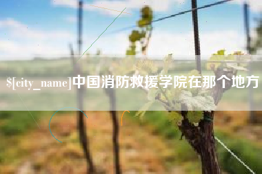 庄河中国消防救援学院在那个地方