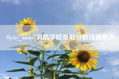庄河消防学校录取分数线是多少