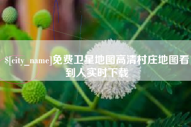 庄河免费卫星地图高清村庄地图看到人实时下载