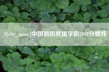 庄河中国消防救援学院2018分数线