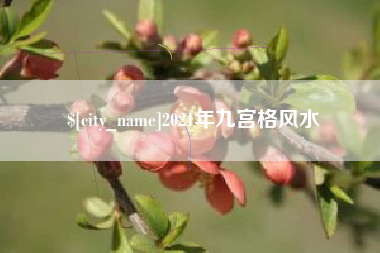 庄河2021年九宫格风水