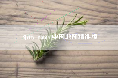 庄河中国地图精准版