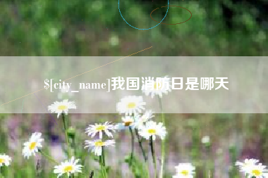 庄河我国消防日是哪天