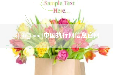 庄河中国执行网信息官网