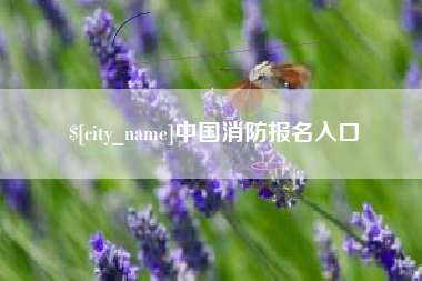 庄河中国消防报名入口