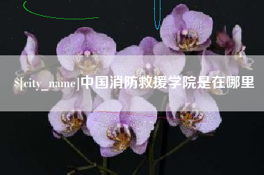 庄河中国消防救援学院是在哪里