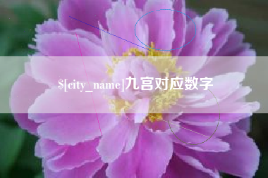 庄河九宫对应数字