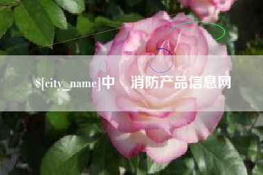 庄河中囯消防产品信息网