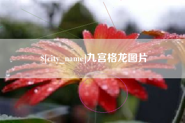 庄河九宫格龙图片