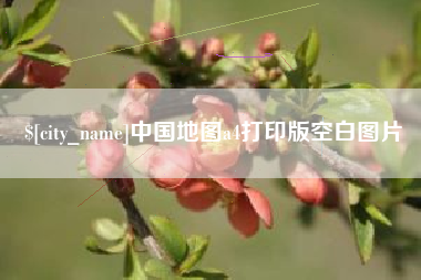 庄河中国地图a4打印版空白图片