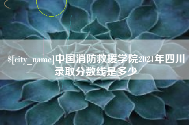 庄河中国消防救援学院2021年四川录取分数线是多少