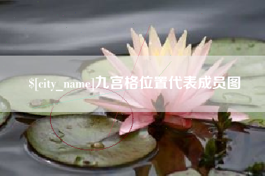 庄河九宫格位置代表成员图
