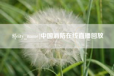 庄河中国消防在线直播回放