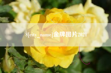 庄河金牌图片2021