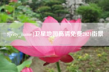 庄河卫星地图高清免费2024街景