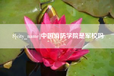 庄河中国消防学院是军校吗