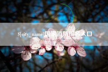 庄河国家消防报名入口