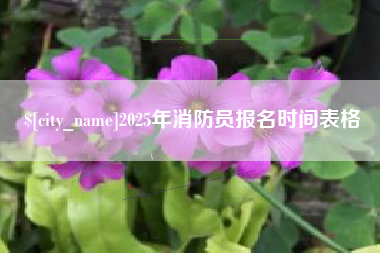 庄河2025年消防员报名时间表格
