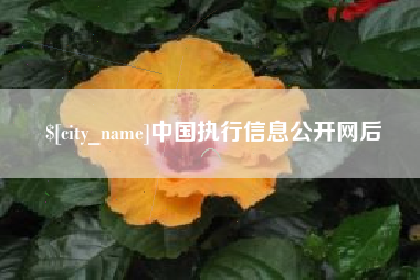庄河中国执行信息公开网后