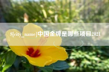庄河中国金牌是哪些项目2021