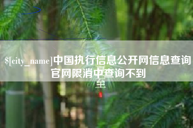 庄河中国执行信息公开网信息查询官网限消中查询不到