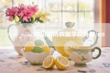 庄河中国消防救援学院分数2020