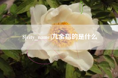 庄河九金指的是什么