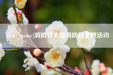 庄河消防日全国消防日主题活动