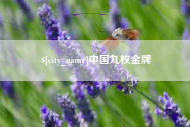 庄河中国九枚金牌